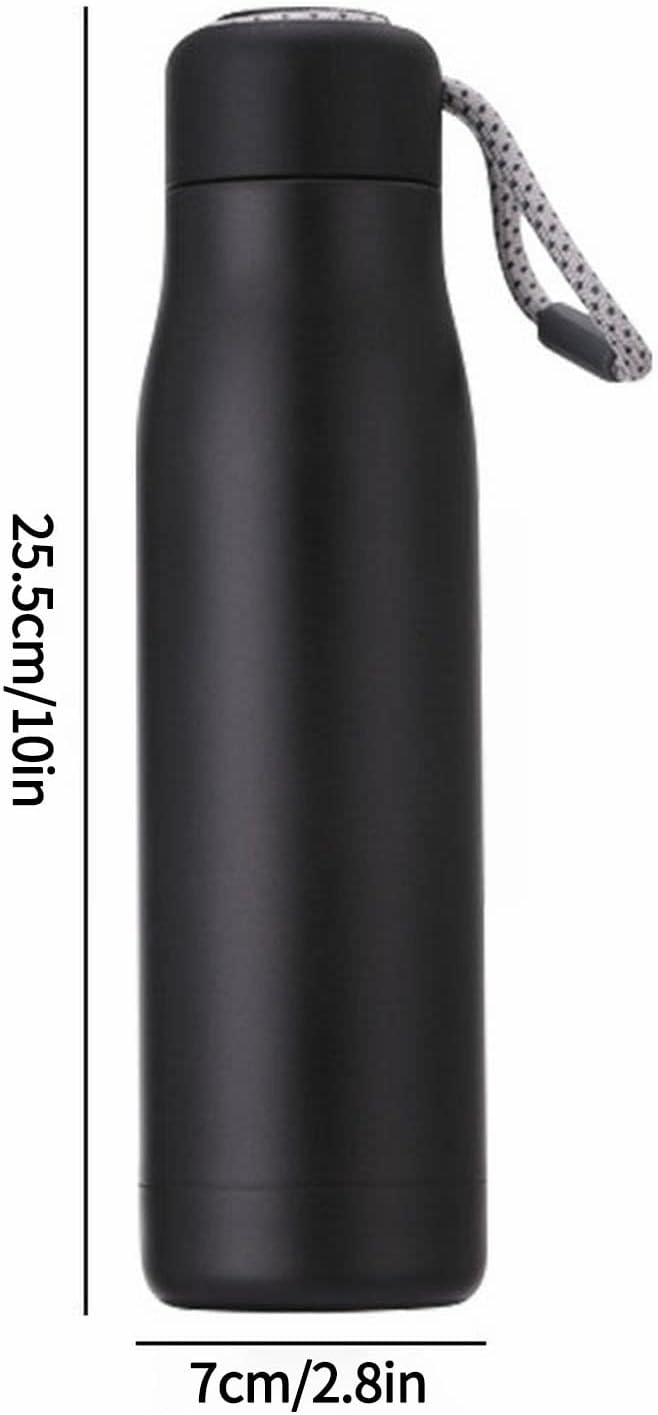 Insulated Stainless Steel Water Bottle