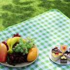 Foldable Picnic Blanket